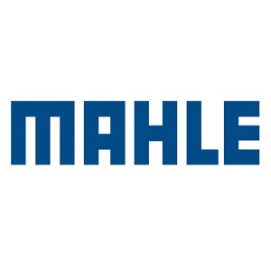 Mahle Head Bolts